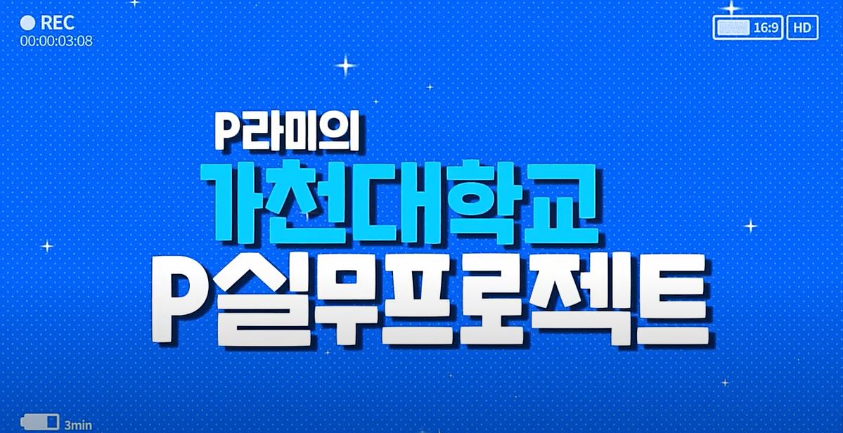 [2021P-실무프로젝트] P라미  대표이미지