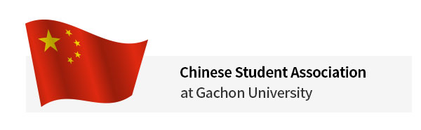 Chinese Student Link