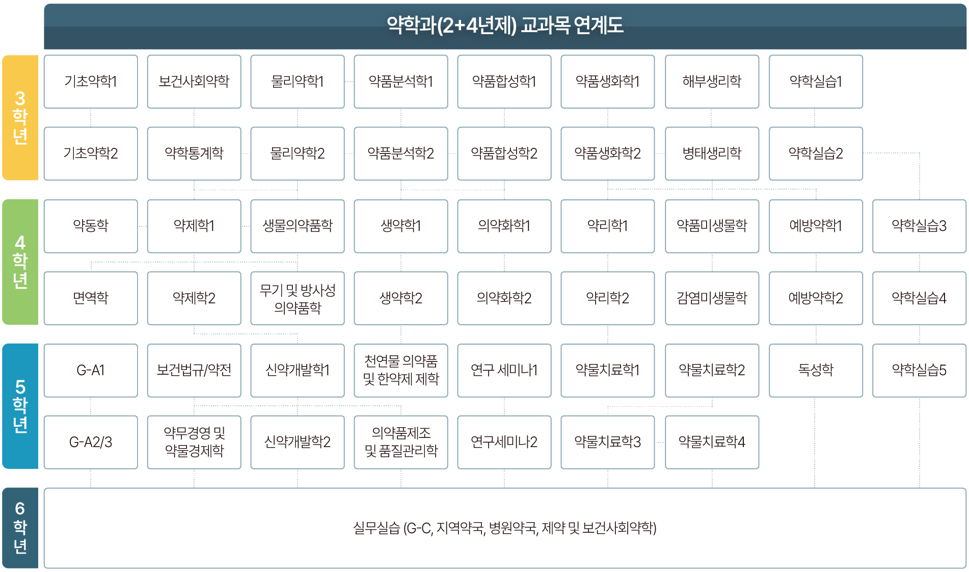 약학교육평가인증 그림-02_교육과정2+4년제